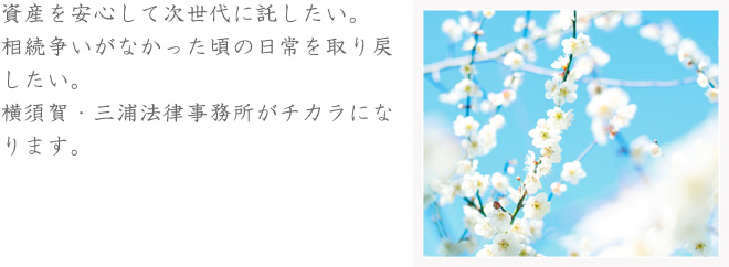 資産を安心して次世代に託したい。相続争いがなかった頃の日常を取り戻したい。横須賀・三浦法律事務所の弁護士がチカラになります。